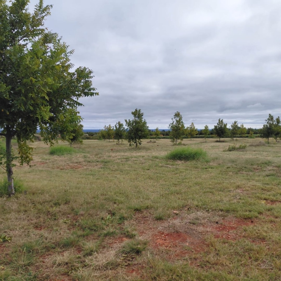 Commercial Property for Sale in Warrenton Northern Cape